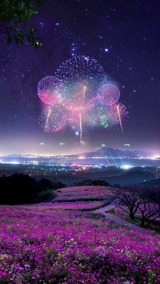 浪漫烟花