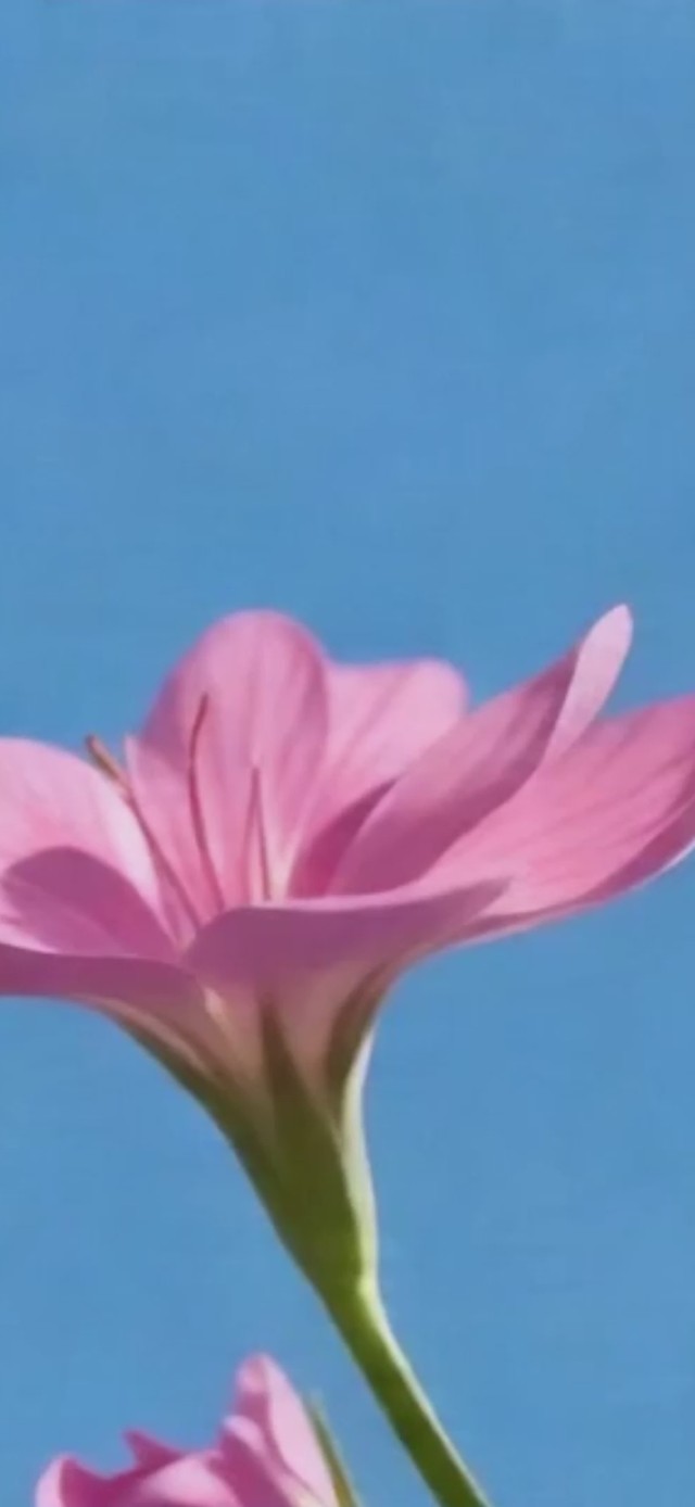 晴天