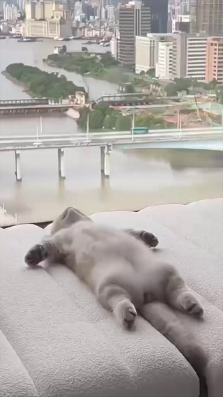 起不来 在睡会_1