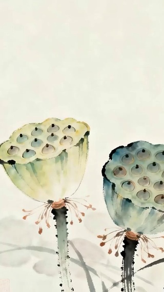 荷花夏天蜻蜓