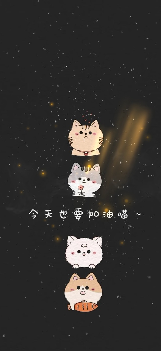 4K 今天也要加油喵~