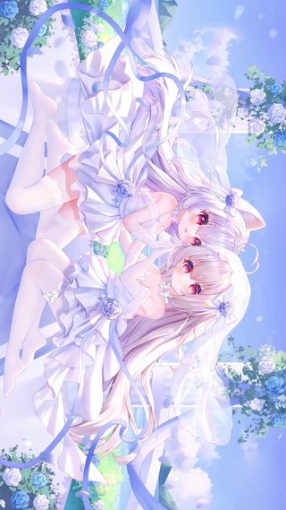 双子花开