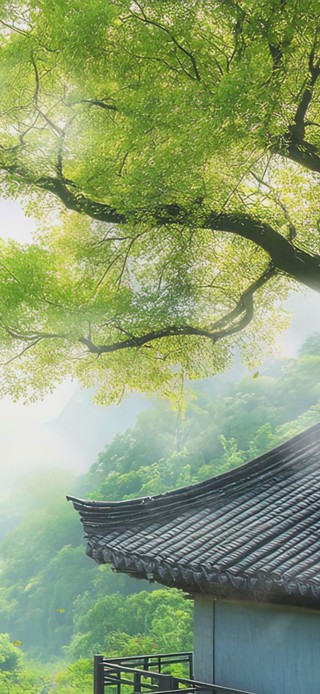 护眼绿景