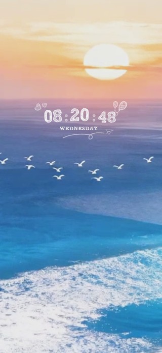 海鸥飞行