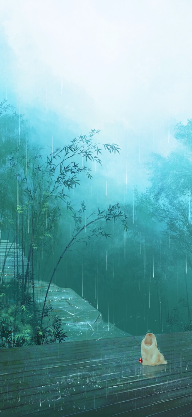 夏日清雨