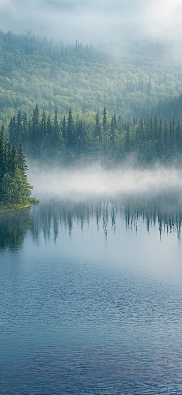 绿色护眼森林河畔