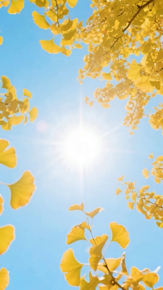 熊非熊可爱治愈夸夸4K高清壁纸