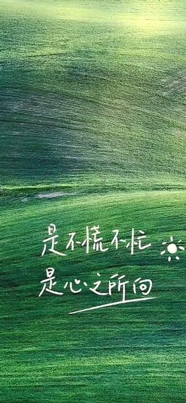 是不慌不忙是心之所向