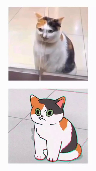 可爱喵喵