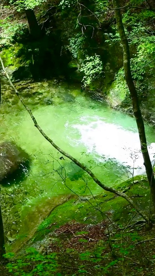 护眼清澈溪水