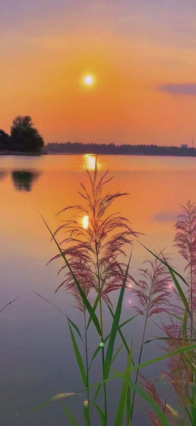 4k 夕阳(风景手机动态壁纸) - 风景手机壁纸下载 - 元气壁纸
