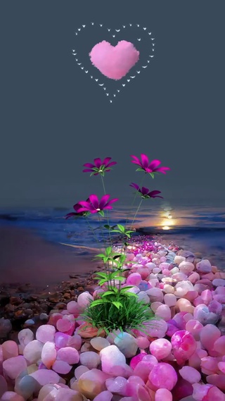 浪漫海滩