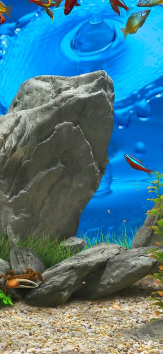 护眼水族馆