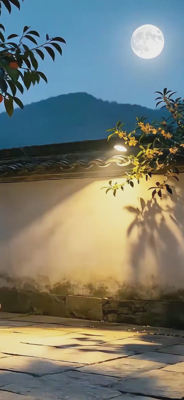 月夜小院