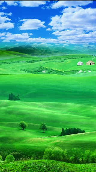 美丽草原