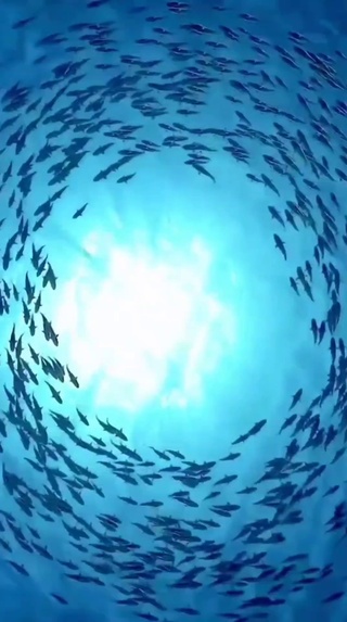 流行