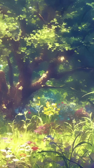 森林晨光