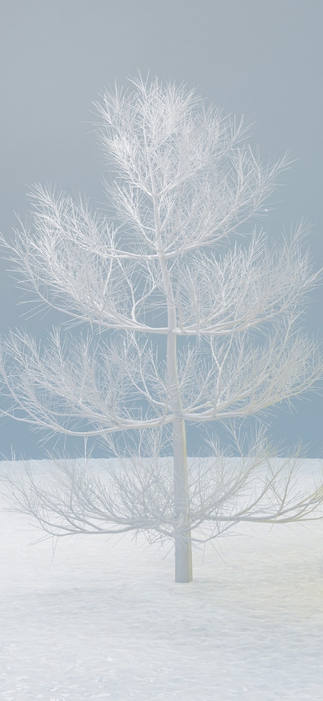 （免费）4K 冬季雪地温暖小屋