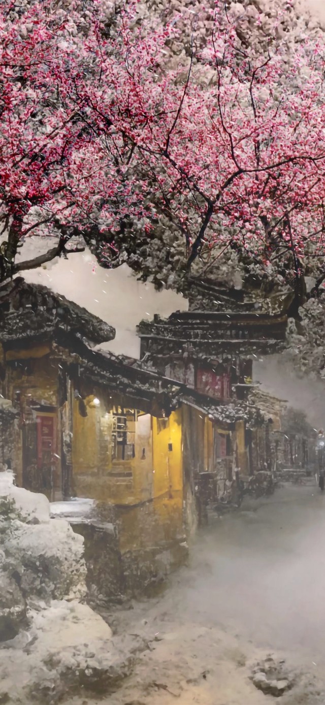 飘雪梅花古镇
