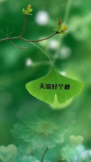 天凉好个秋