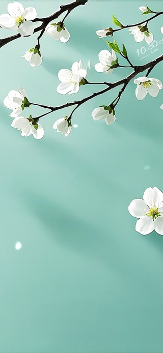 薄荷梨花香