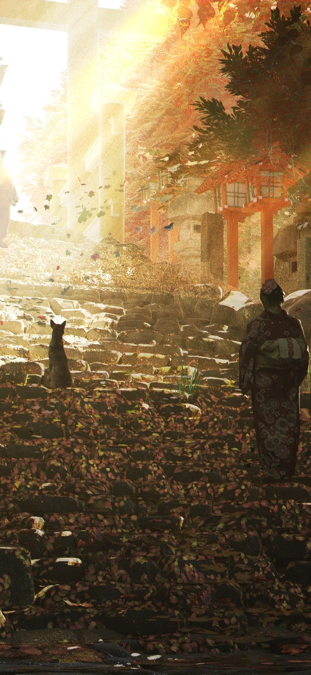 秋天的寺庙石路