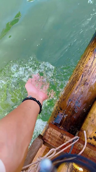 山川树林中的小桥流水