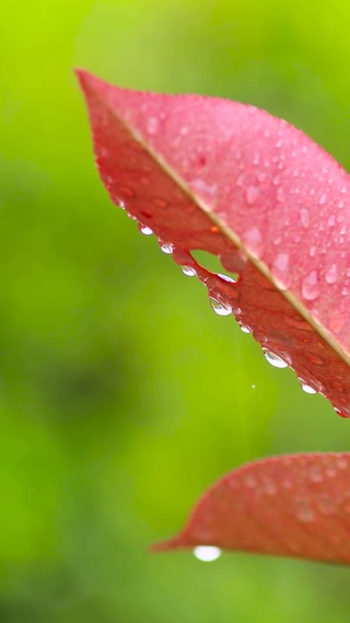 自然环境雨声