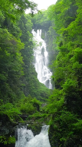 高山绿林瀑布