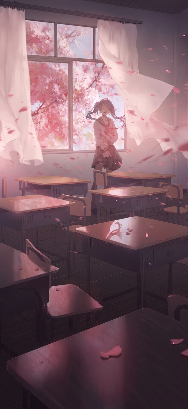 樱花吹进你的教室