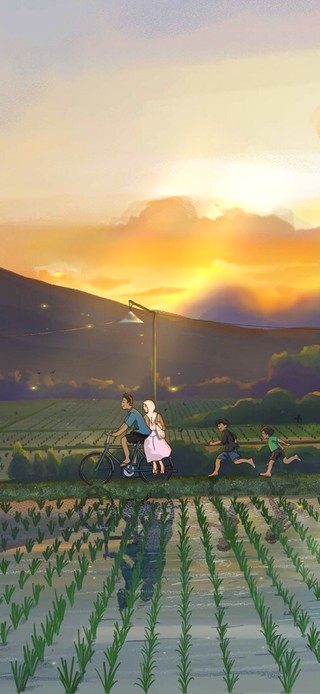 4k 治愈唯美乡村夕阳田野