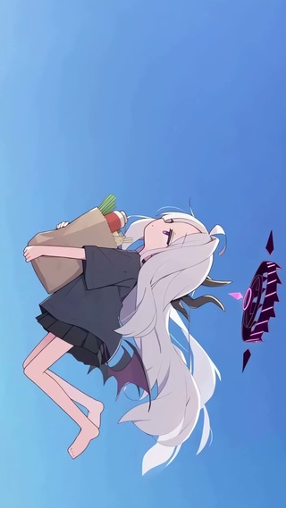 日奈飞行