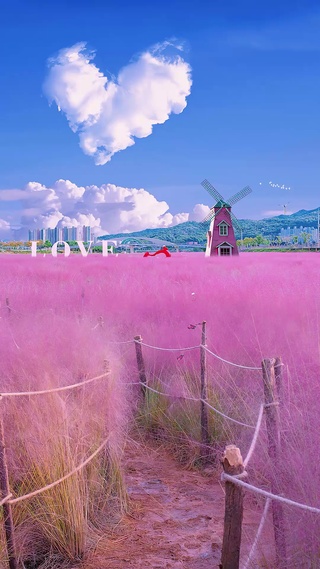 @境遇之景：粉黛乱子草
