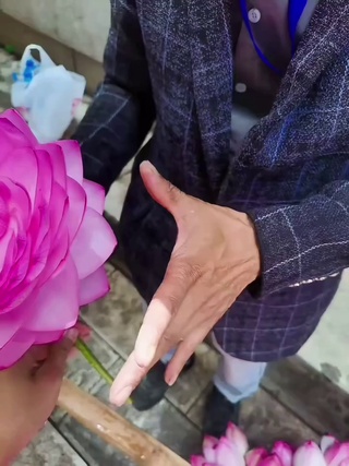 荷气生财