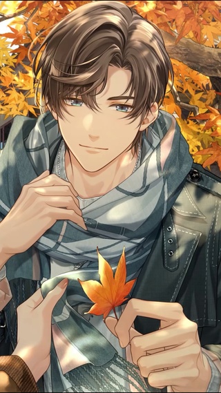 【左然】锦书枫回