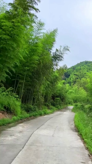 累了 就出去走走