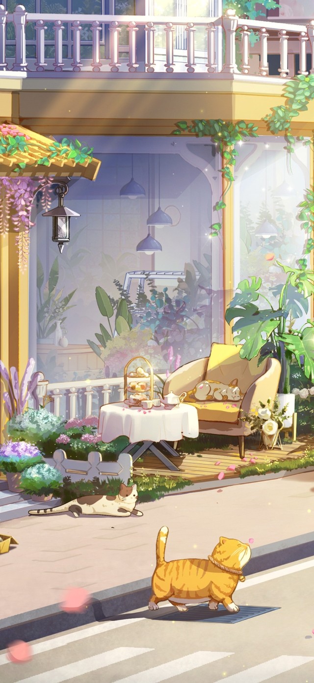 4K唯美治愈街角阳光花房