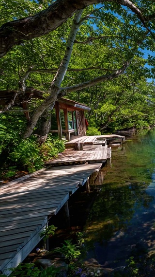 护眼绿景树木河流