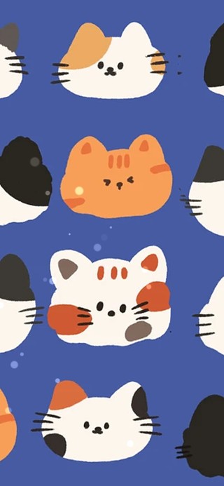 全是猫猫