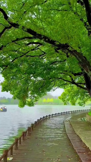 江南烟雨