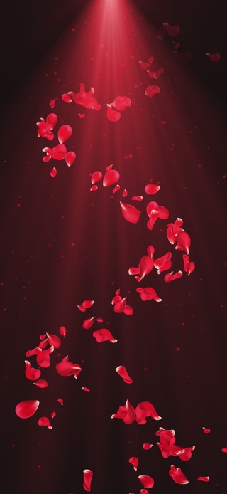 光束玫瑰花瓣旋转下落