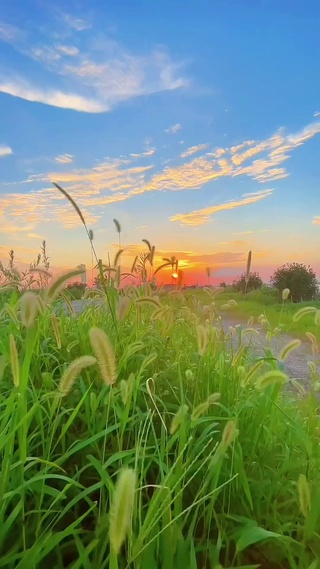 夕阳下的风景