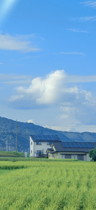 4K唯美乡村田园风景