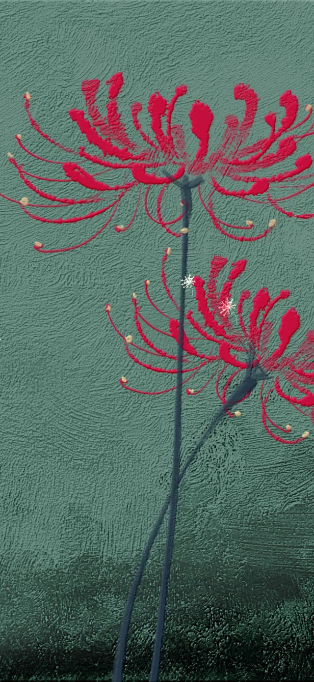 蒲公英和彼岸花（护眼油画时钟）