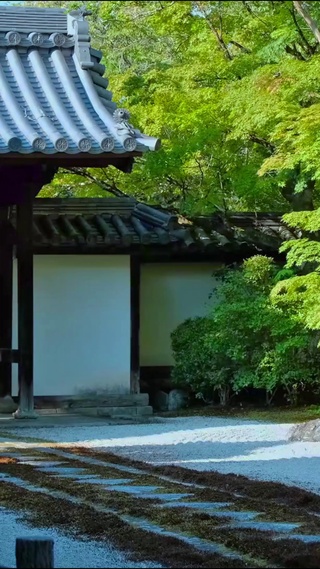 治愈庭院4K