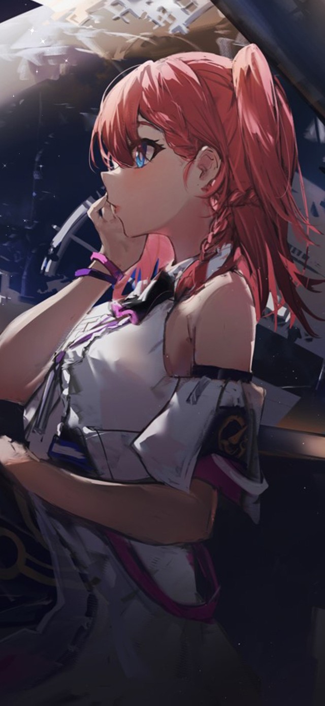 艾丝妲注视星空