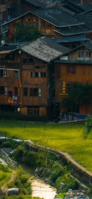 4K唯美乡村田野苗寨