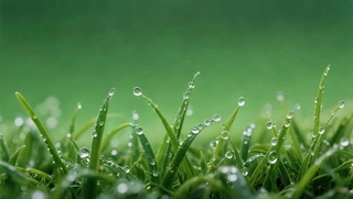 雨滴