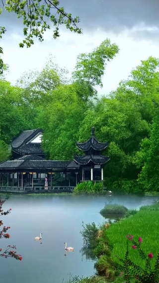 竹林壁纸 竹林手机壁纸 竹林手机动态壁纸 元气壁纸