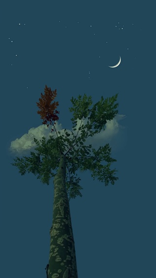治愈星空